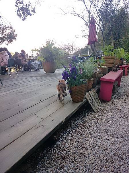 歌詞翻訳第121弾🌹ハッピーエンド