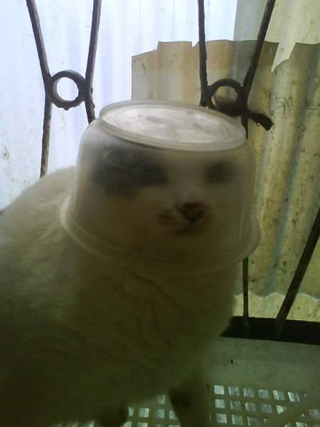 太空抖XDDDD.JPG 太空抖XDDDD.JPG