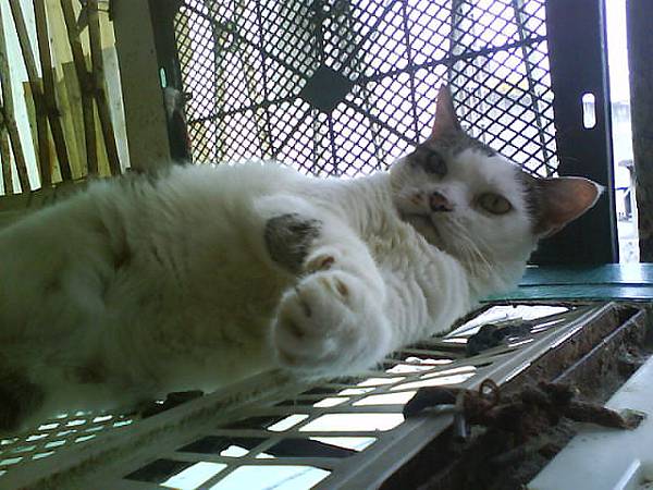 抖:安怎.JPG 抖:安怎.JPG