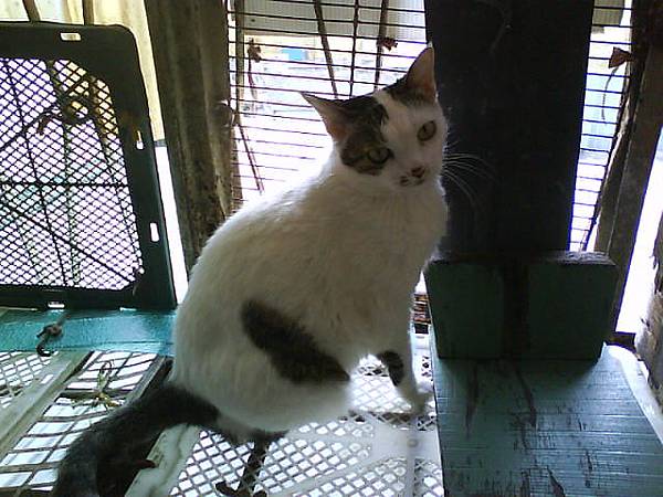 麻豆!!!!.JPG 麻豆!!!!.JPG