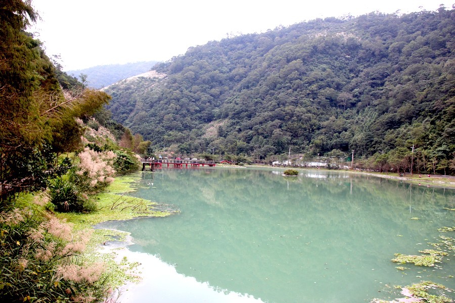 宜蘭賞花看畫之旅 040