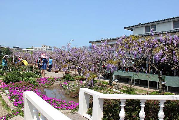 淡水紫藤咖啡園 104