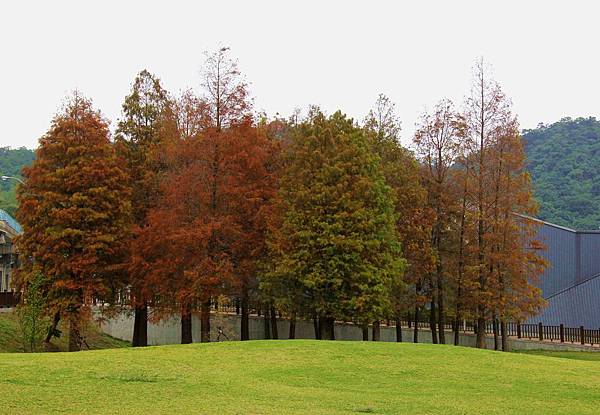 2014.12.19大湖公園 003