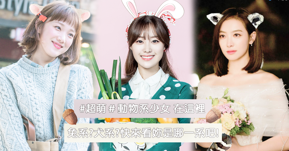 動物系女友 封面.png 動物系女友 封面.png