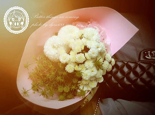 IMG_20160508_182729_副本 IMG_20160508_182729_副本