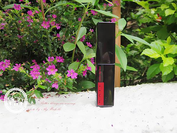 凱婷KATE幻色持久唇釉 013_副本 凱婷KATE幻色持久唇釉 013_副本