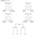 陳河東盃Teeball比賽