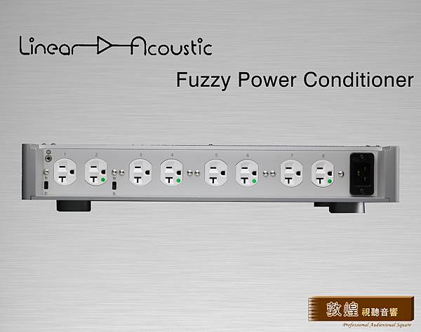 Fuzzy Power Conditioner(B).jpg