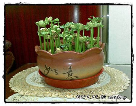 2011110701.jpg 2011110701.jpg