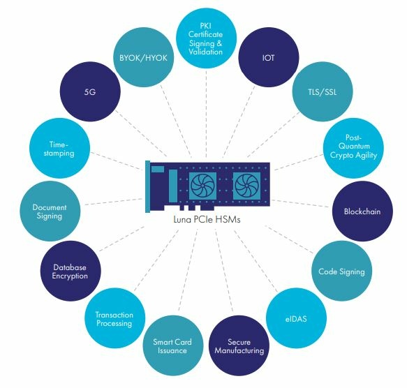 Thales Luna PCIe HSM.JPG