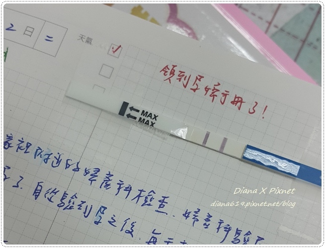 01.jpg 01.jpg