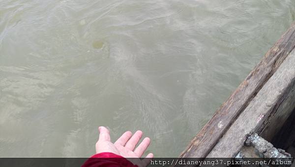 DSC_0176.JPG DSC_0176.JPG