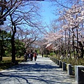 DSCF1796.JPG
