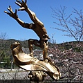 DSCF1814.JPG