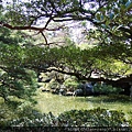 DSCF2550.JPG