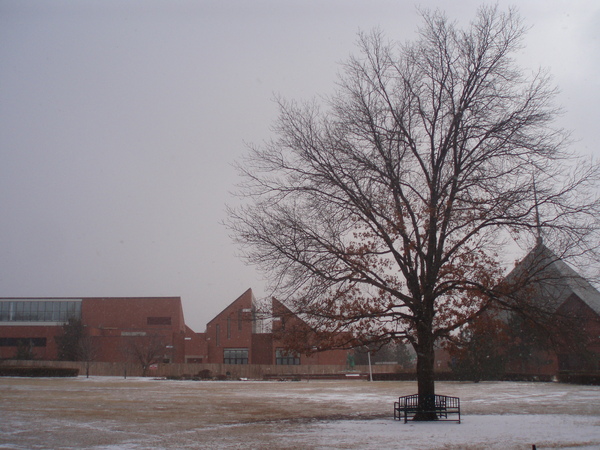 493f342da1528.jpg
