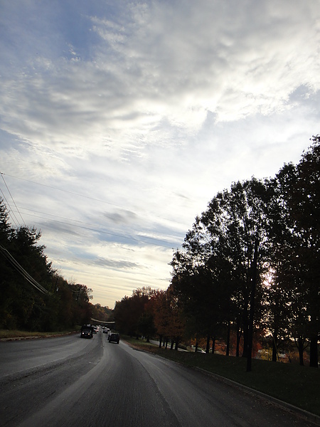 DSC00737.JPG