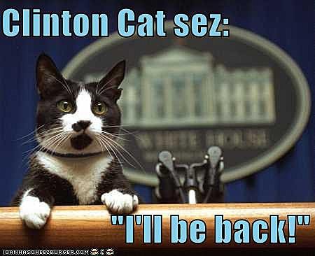 clintoncatsez128468596913750000
