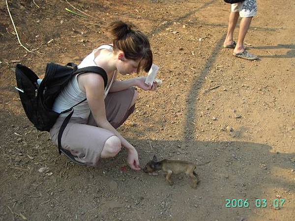 Norish girl and dog.jpg