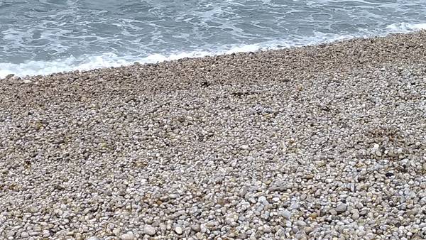 etretat stone beach.jpg