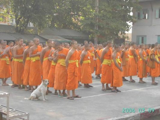 Dog listens to the monk.jpg