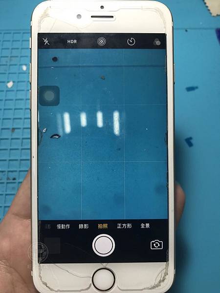 蝴蝶更換電池_.jpg 蝴蝶更換電池_.jpg