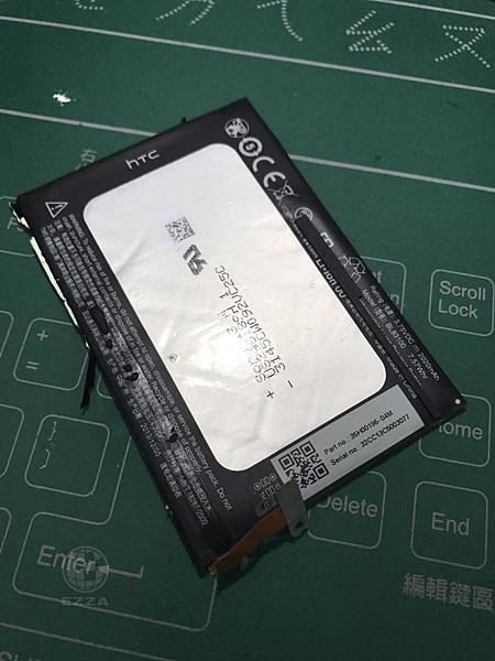 蝴蝶更換電池.jpg 蝴蝶更換電池.jpg
