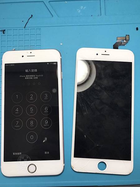蝴蝶換電池.jpg 蝴蝶換電池.jpg