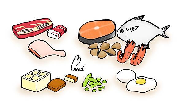 豆魚肉蛋類 豆魚肉蛋類