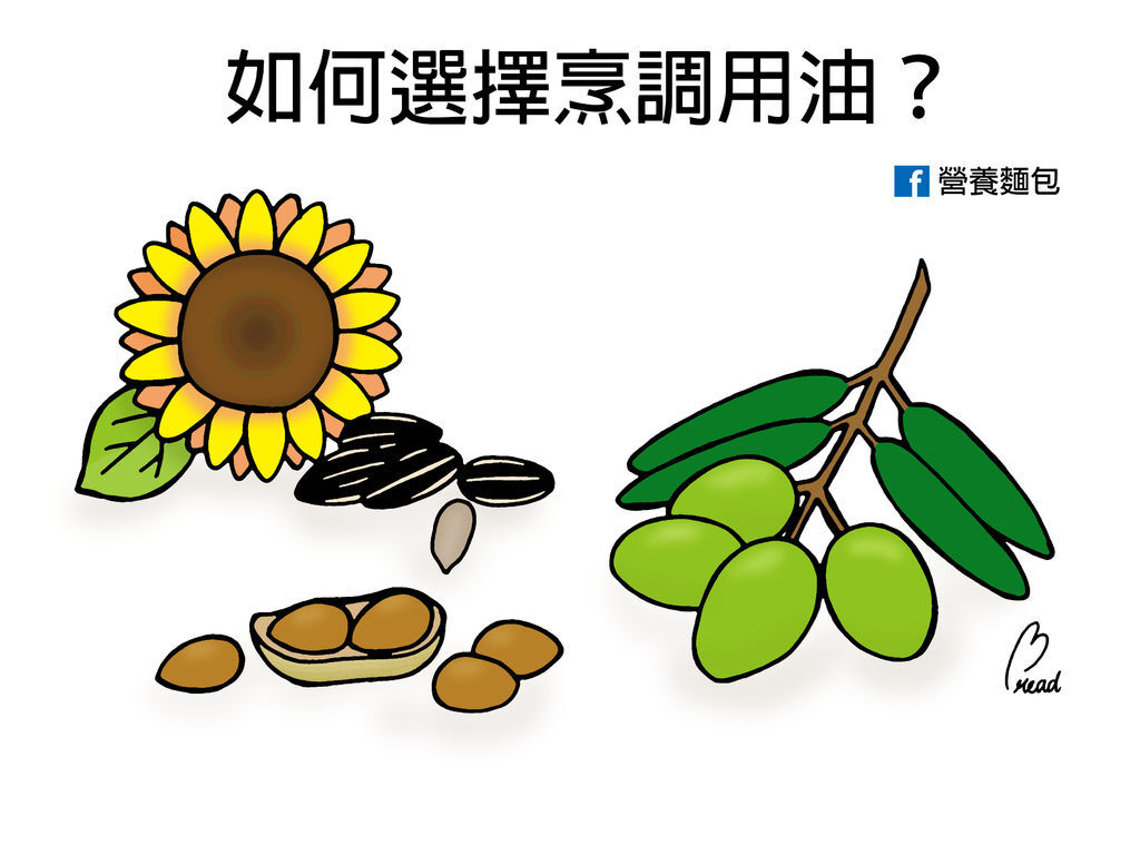 如何選擇烹調用油.jpg 如何選擇烹調用油.jpg