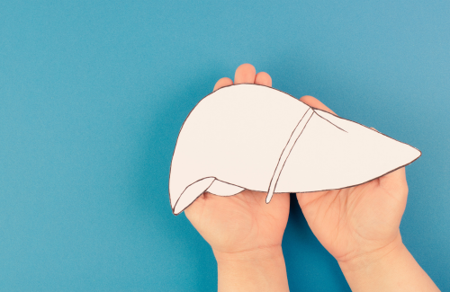 如何消除脂肪肝？5個脂肪肝飲食秘訣與禁忌，促進新陳代謝、調整體質及生理機能