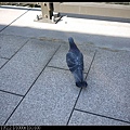 P1390699