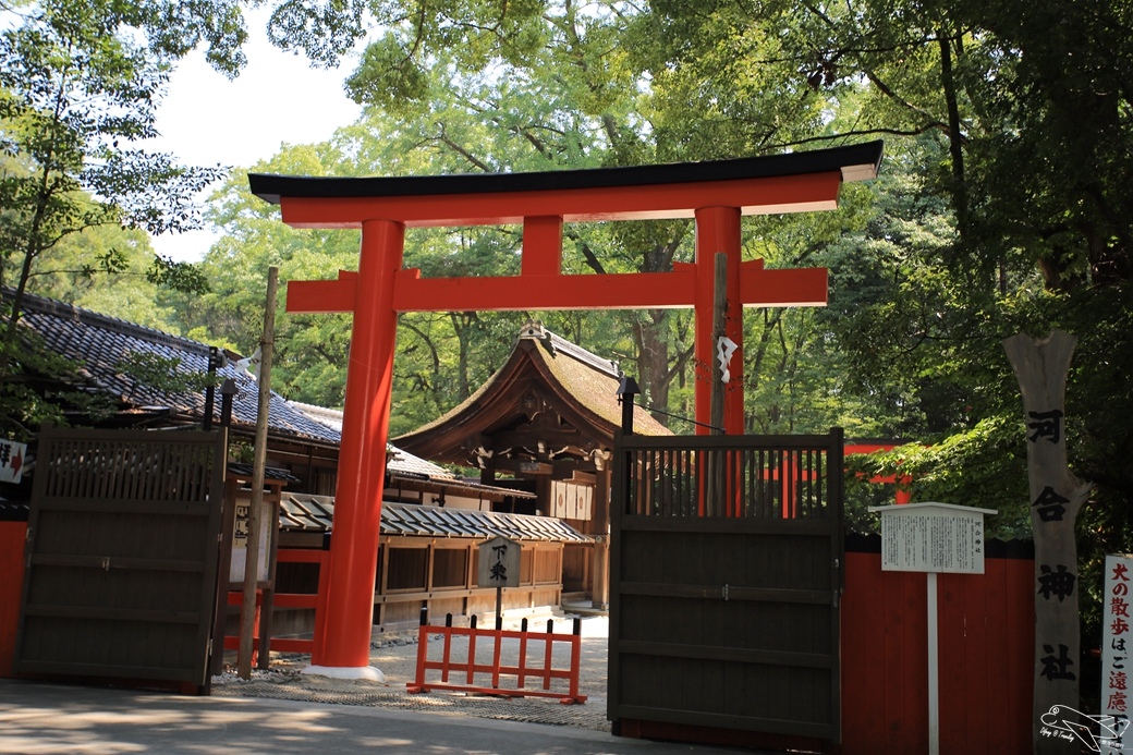 日本京都 日本第一美麗女神河合神社 愛美的女生必去 永保青春美麗 欣旅遊bonvoyage 欣傳媒旅遊頻道