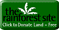 therainforestsite_logo.gif