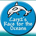 oceanrace_logo.gif