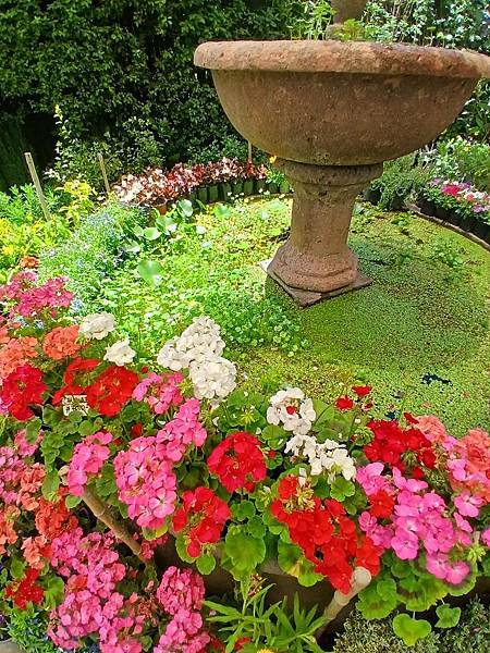 宿醉的眼中是妳