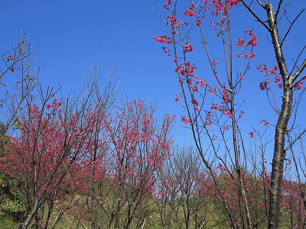 IMG_6668.JPG