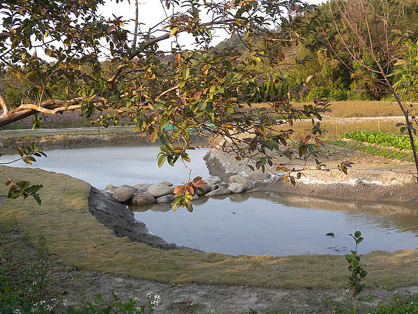 2011新竹雲雀跨年 073.JPG 2011新竹雲雀跨年 073.JPG