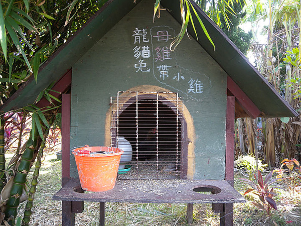 2011新竹雲雀跨年 029.JPG 2011新竹雲雀跨年 029.JPG