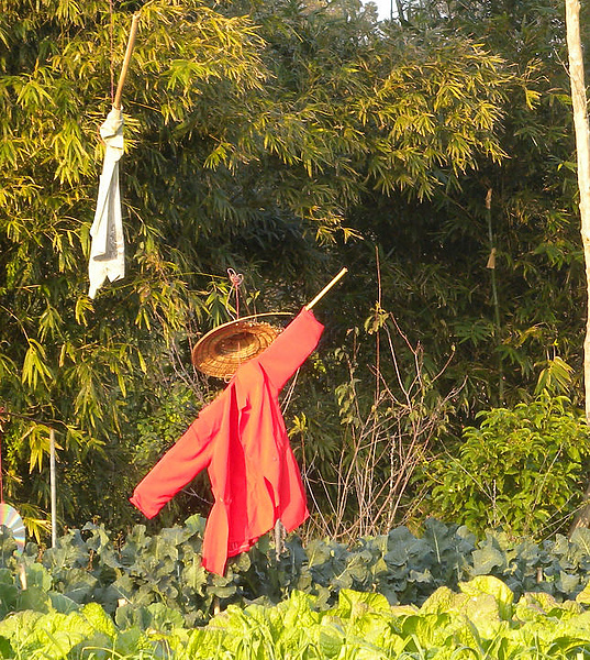 2011新竹雲雀跨年 085.JPG 2011新竹雲雀跨年 085.JPG