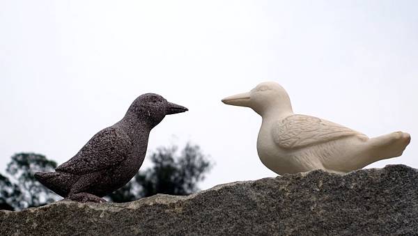 DSC07326-1.jpg DSC07326-1.jpg