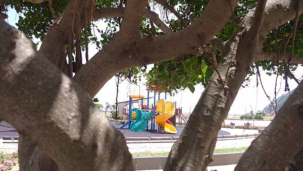 DSC07558.JPG DSC07558.JPG