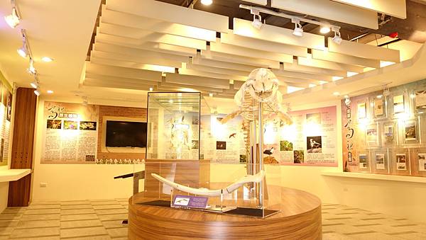 DSC07898.JPG DSC07898.JPG