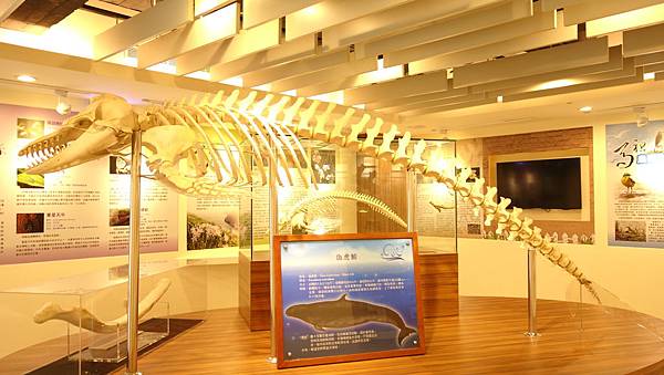 DSC07900.JPG DSC07900.JPG