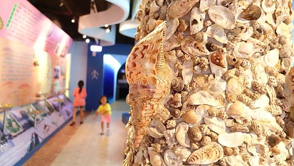 DSC07905.JPG DSC07905.JPG