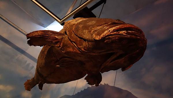 DSC07913.JPG DSC07913.JPG