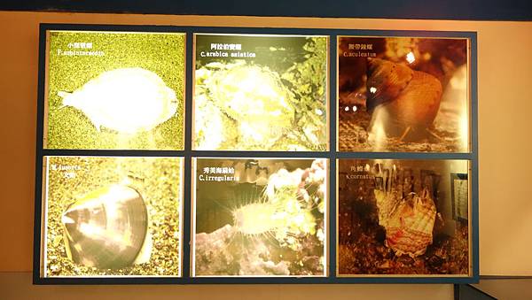 DSC07917.JPG DSC07917.JPG