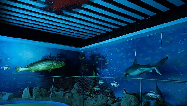 DSC07922.JPG DSC07922.JPG