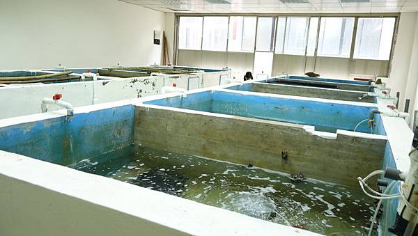 DSC07927.JPG DSC07927.JPG