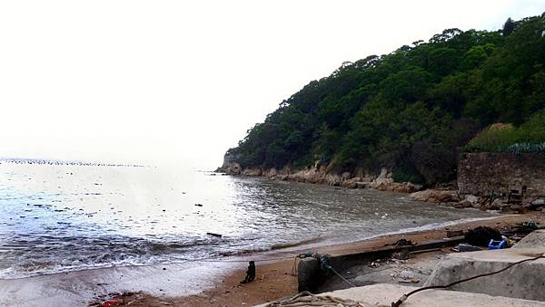 DSC07930-1.jpg DSC07930-1.jpg